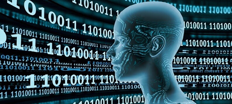Cultivating Intelligence versus Engineering Functionality