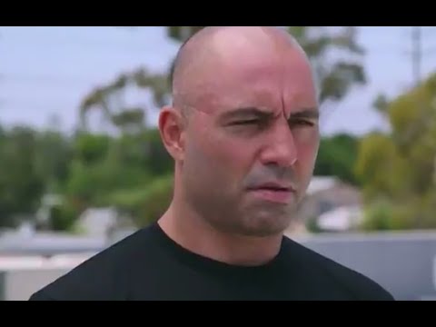 Other Bullshit